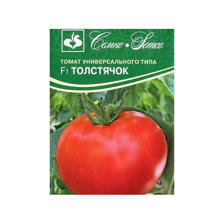 ТОЛСТЯЧОК