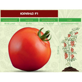 ЮРАНД