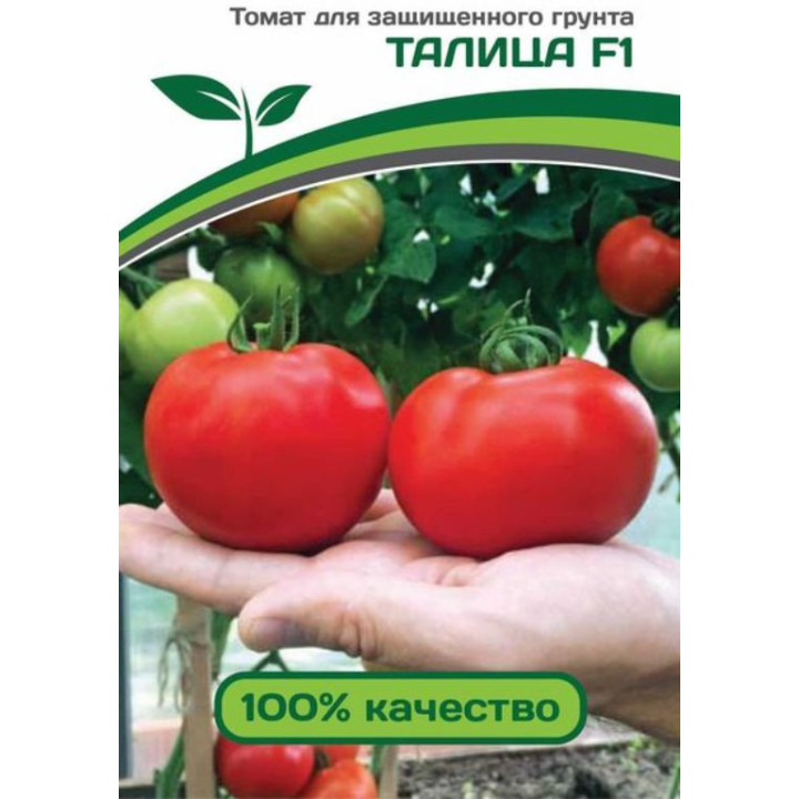 ТАЛИЦА