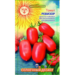 РЕВИЗОР