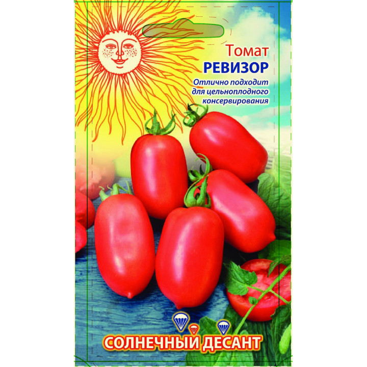 РЕВИЗОР