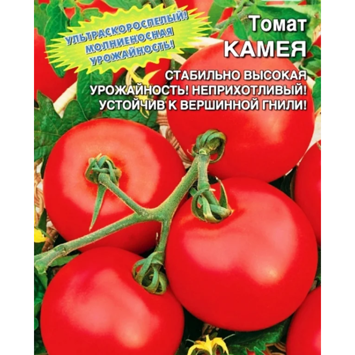 КАМЕЯ