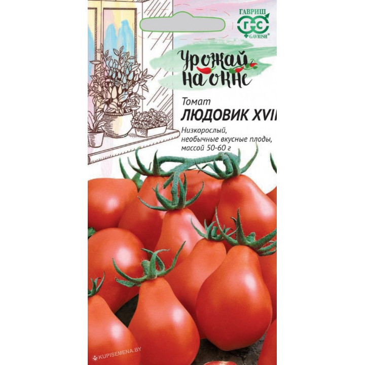 ЛЮДОВИК XVII