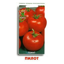 ПИЛОТ