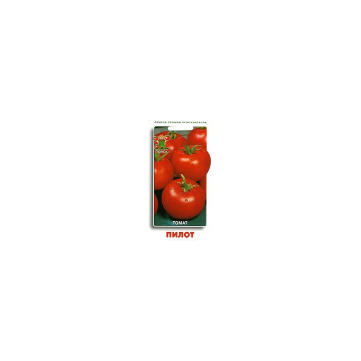 ПИЛОТ