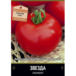 ЗВЕЗДА