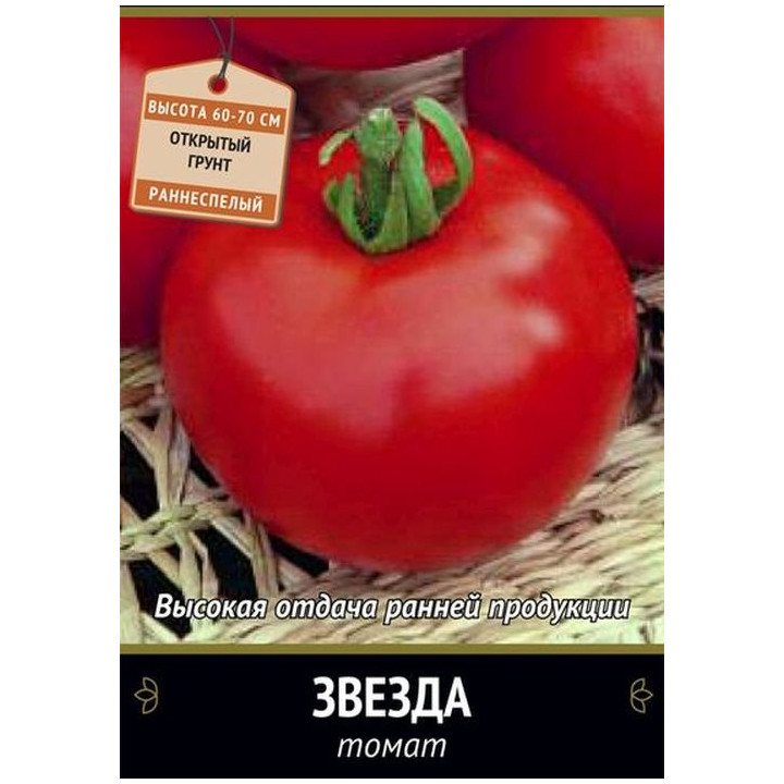 ЗВЕЗДА