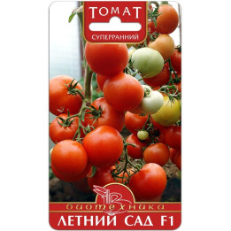 ЛЕТНИЙ САД