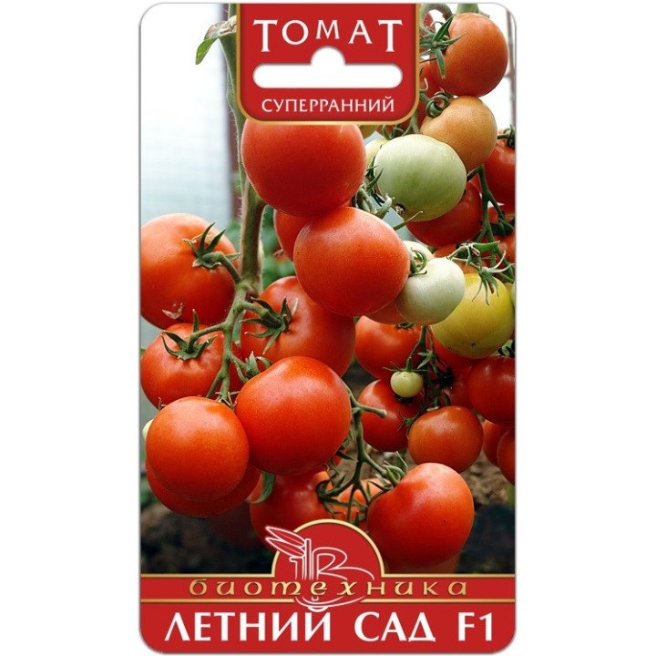 ЛЕТНИЙ САД