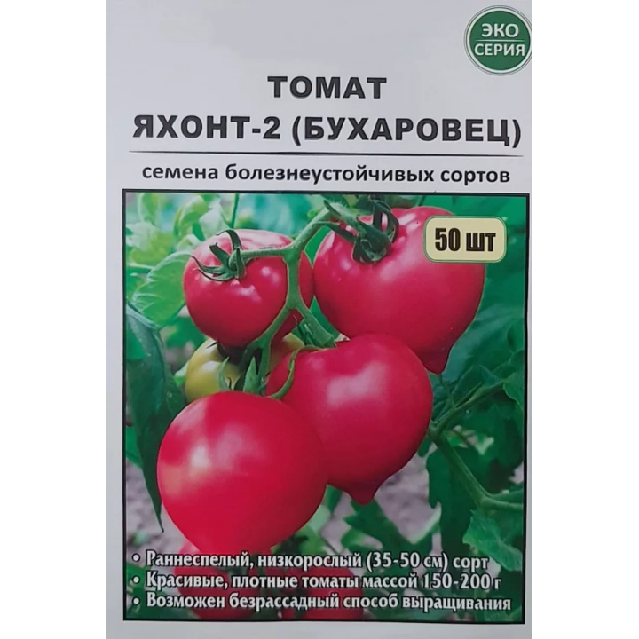 ЯХОНТ