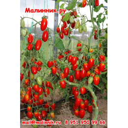 ВОДОПАД