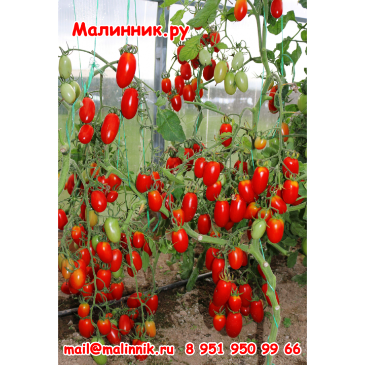 ВОДОПАД