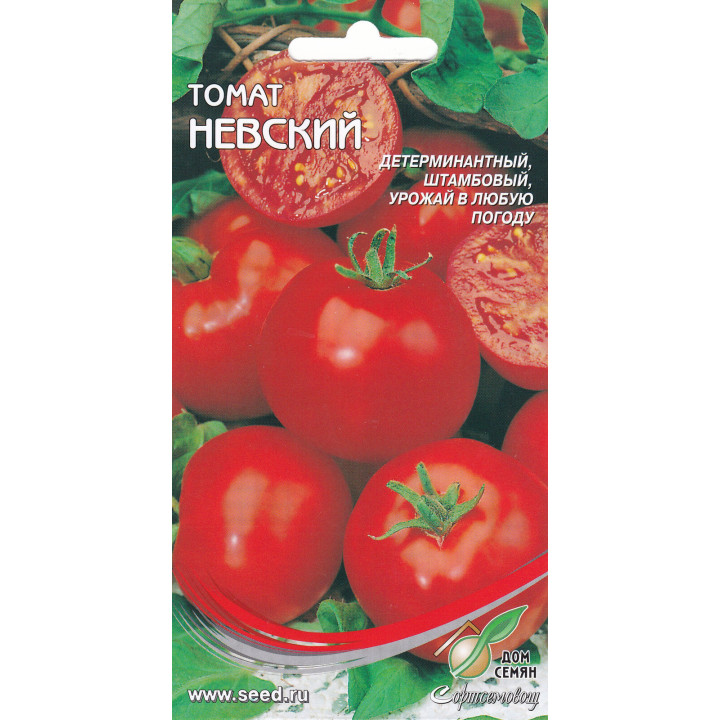 НЕВСКИЙ ПРОСПЕКТ