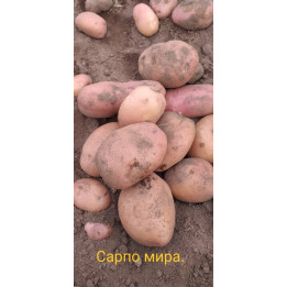 ВЕРА