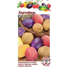 САЛЮТ