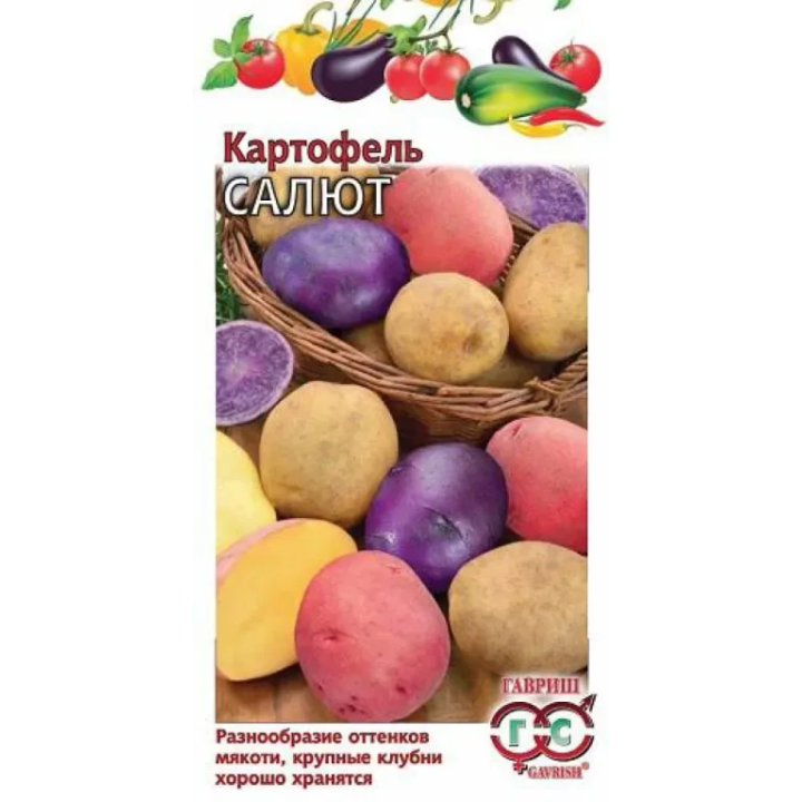 САЛЮТ