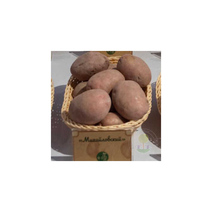 МИХАЙЛОВСКИЙ