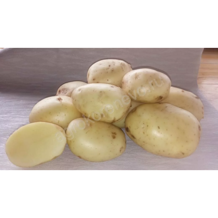 ФЛАГМАН