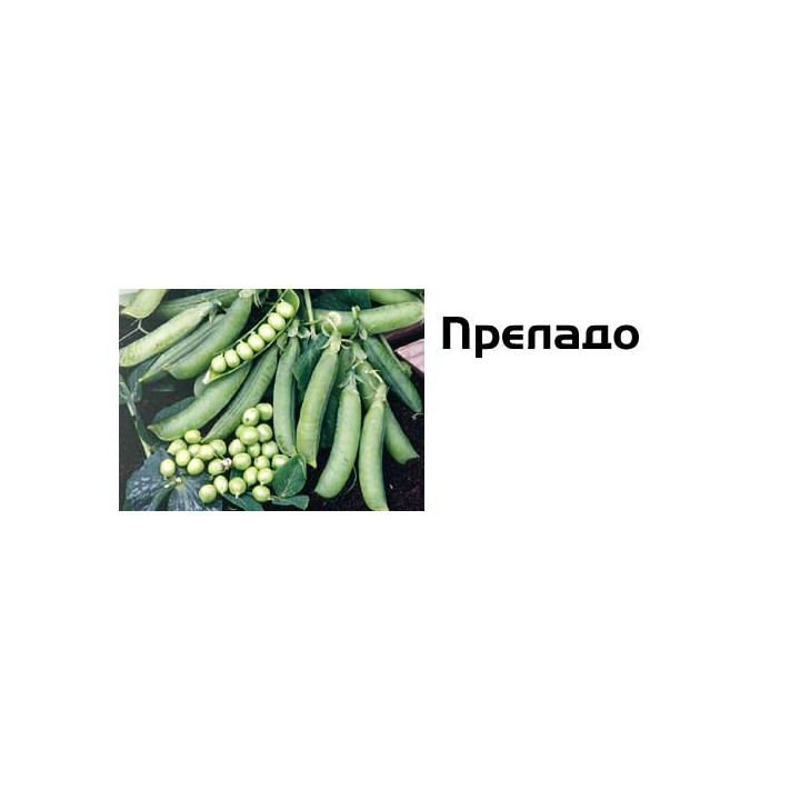 Преладо / Prelado