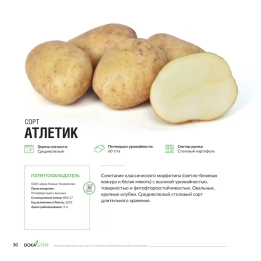 АТЛЕТИК