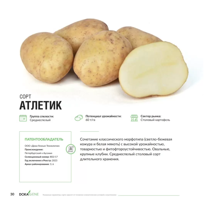 АТЛЕТИК