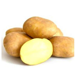 ЗАМИР