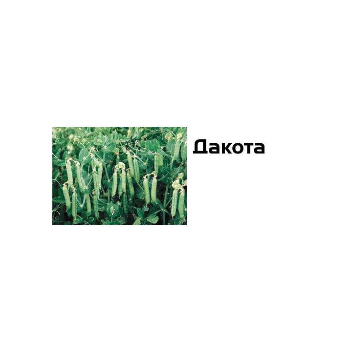 Дакота / Dacota