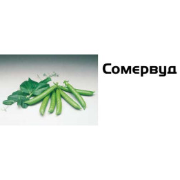 Сомервуд / Somerwood