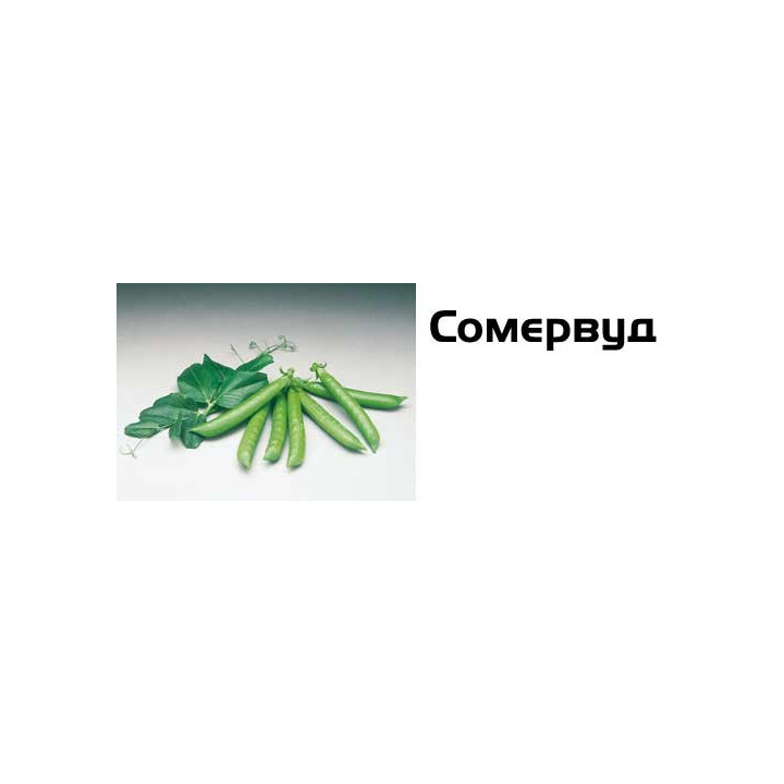 Сомервуд / Somerwood