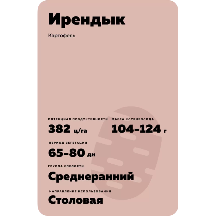 ИРЕНДЫК