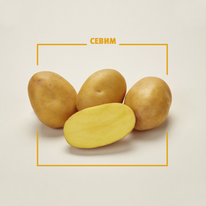 СЕВИМ