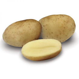 КИНГСМЕН