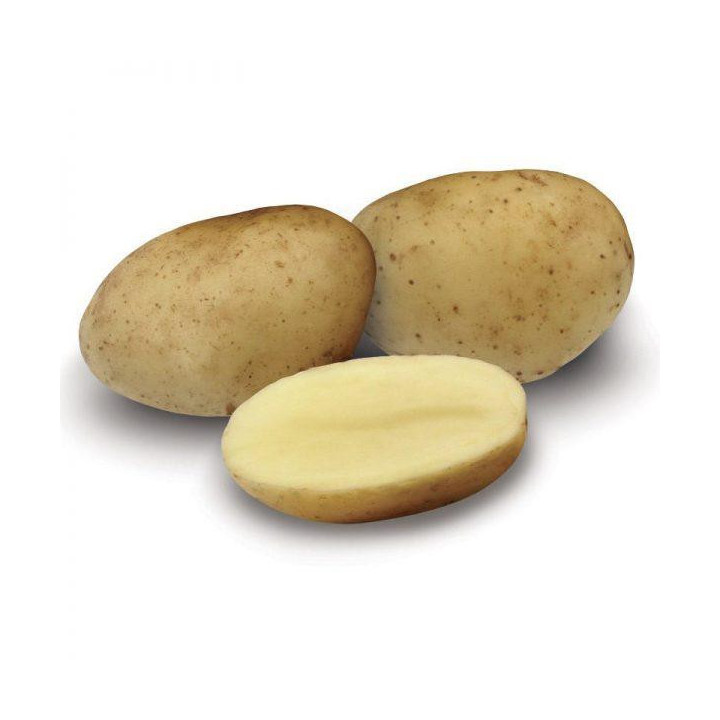 КИНГСМЕН