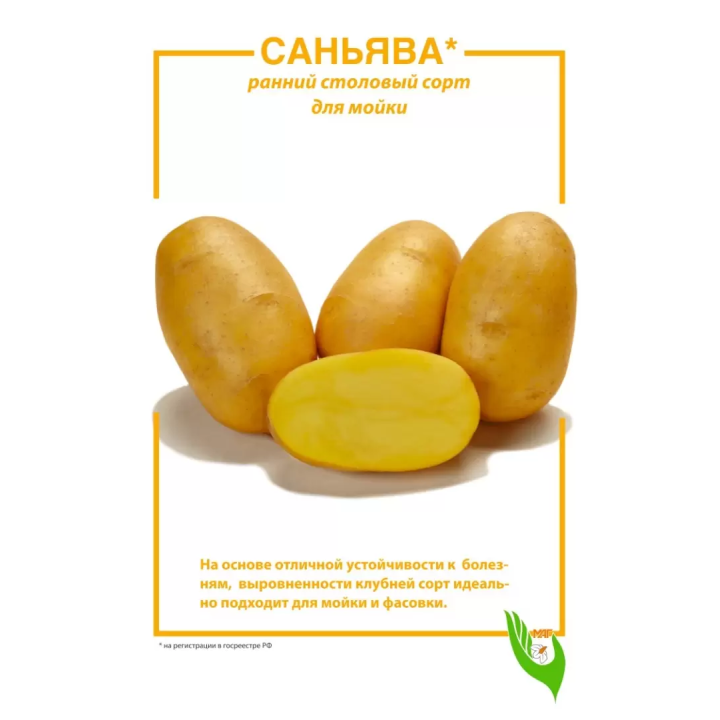 САНЬЯВА