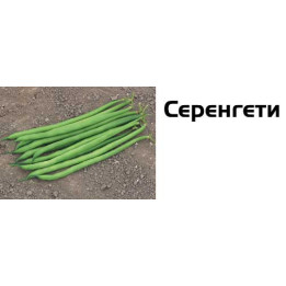 Серенгети / Serengeti