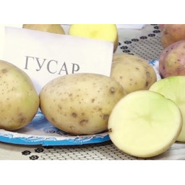ГУСАР