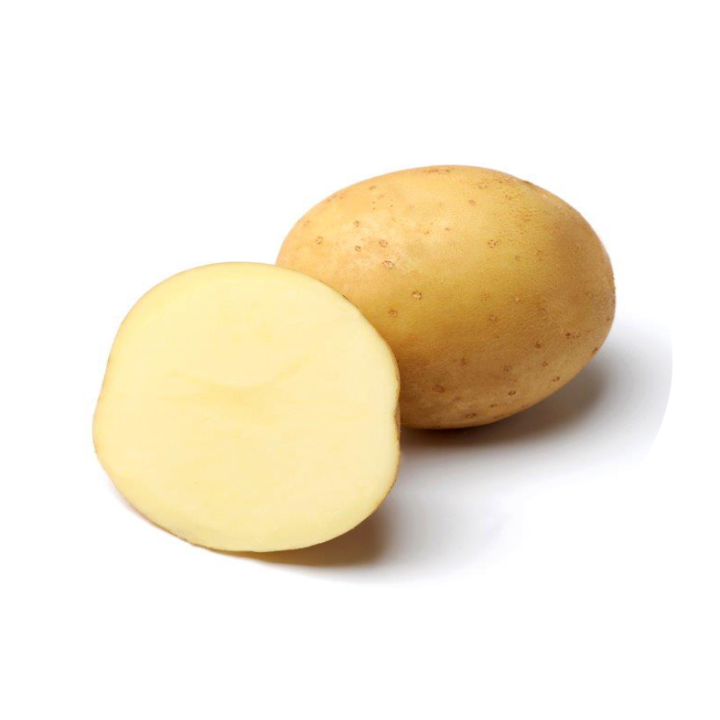 МЭДИСОН