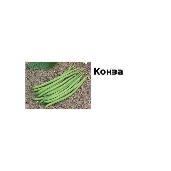 Конза / Konza