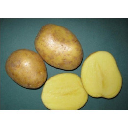 КАСКАД
