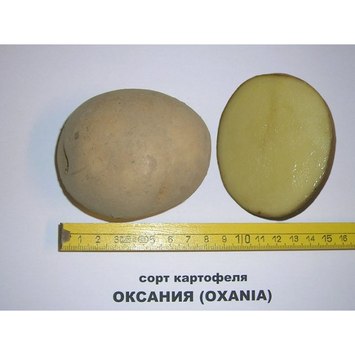 ОКСАНИЯ