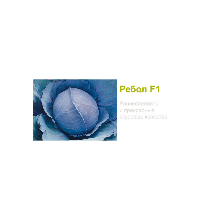 Ребол F1 / Reball F1