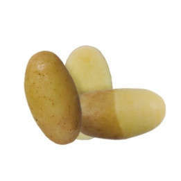 ЛЕДИ АННА