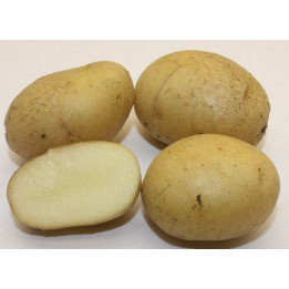 КАЛУЖСКИЙ