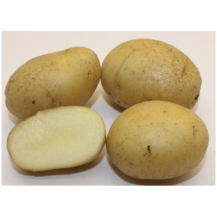 КАЛУЖСКИЙ