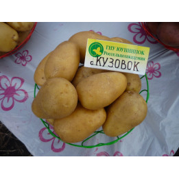 КУЗОВОК