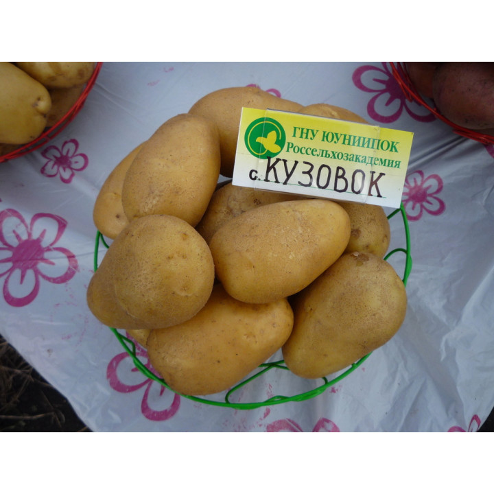 КУЗОВОК