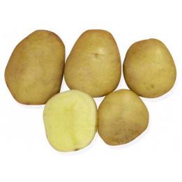 ОНЕЖСКИЙ