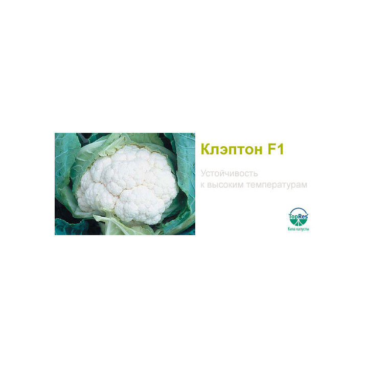 Клэптан F1 / Клаптон F1 / Clapton F1