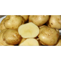 ПУШКИНЕЦ