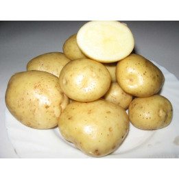 ФРЕСКО